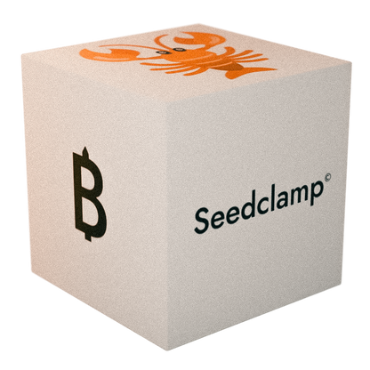 Die Verpackung der Seedclamp von Bitpen