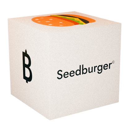 Die Verpackung des sicheren Coldwallets von Bitpen: Der Seedburger
