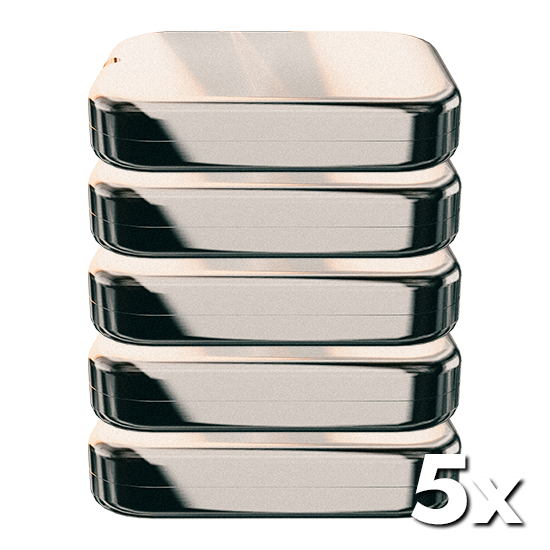 Fünf mal die Seedbox für das Seedwich übereinander gestapelt für die sichere Aufbewahrung des Bitcoin und Krypto Seeds